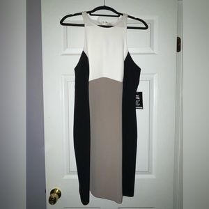 Brand new with tickets - never worn - Express colorblock dress